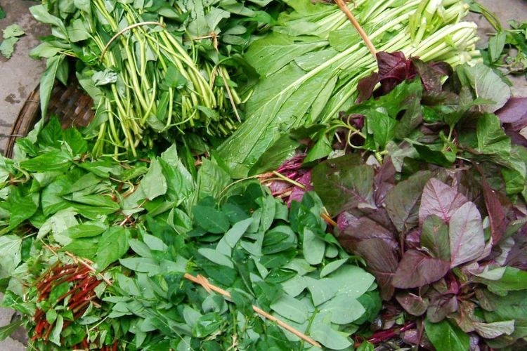 Canh rau tập tàng nấu tôm khô