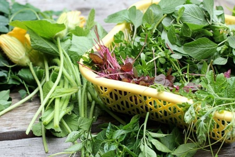 Canh rau tập tàng nấu tôm khô