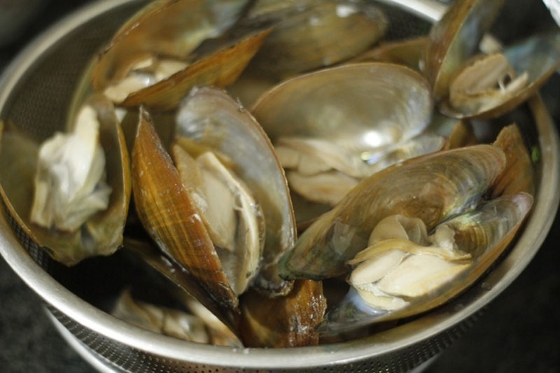 Chia sẻ cách làm canh trai nấu rau răm (hình 3)