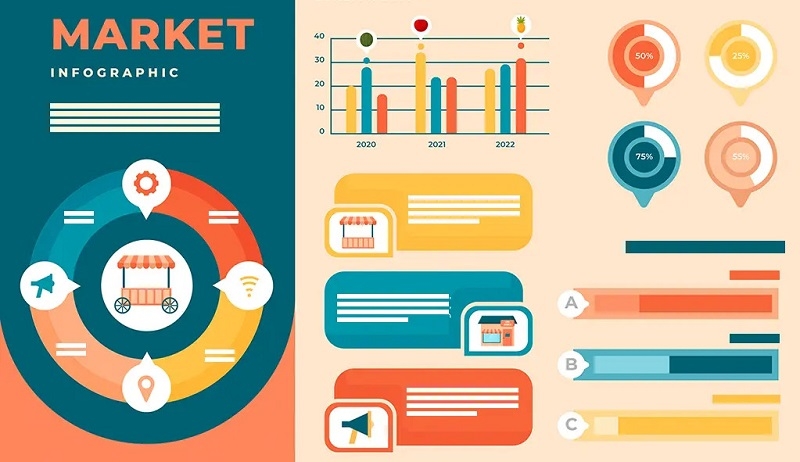 Canva Infographic ảnh 12