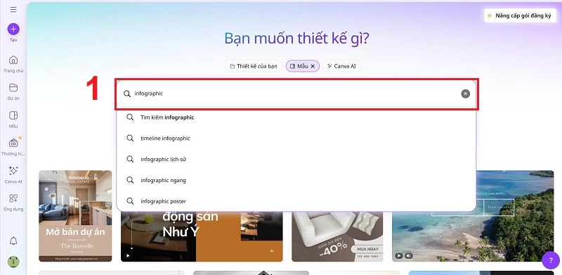 Canva Infographic ảnh 2