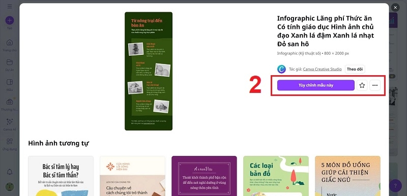 Canva Infographic ảnh 3