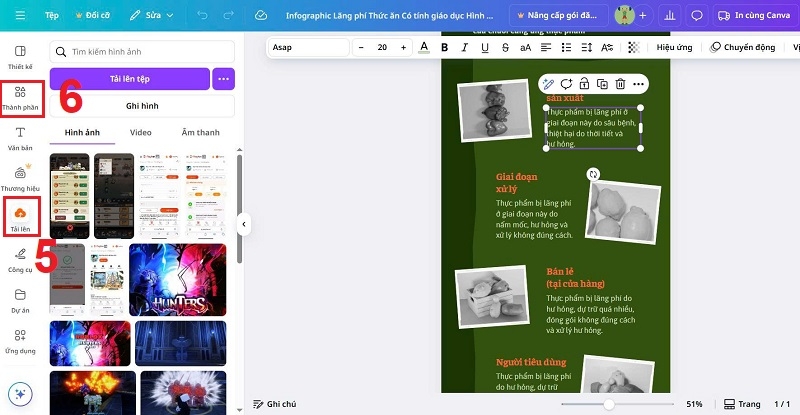 Canva Infographic ảnh 6