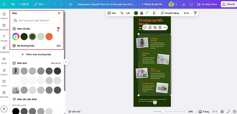Canva Infographic ảnh 7