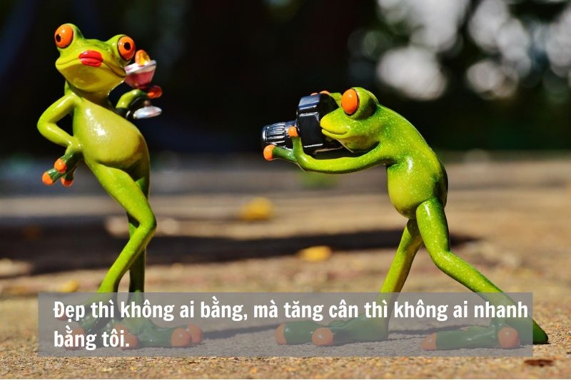 Cap hay đăng ảnh 2025 ảnh 6