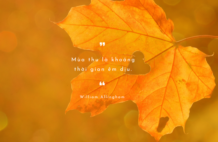 Cap hay về mùa thu 2