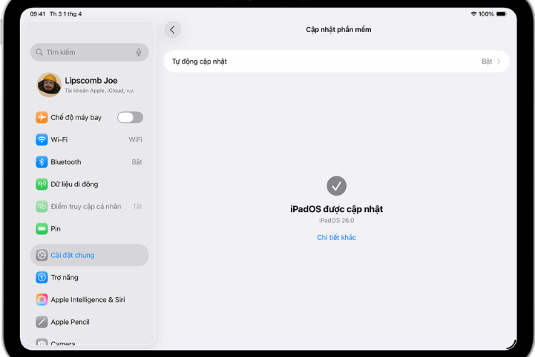Cập nhật phần mềm iOS trên iPad hình 3