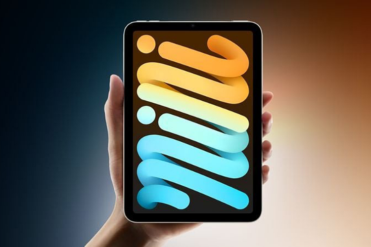Cập nhật phần mềm iOS trên iPad hình 5