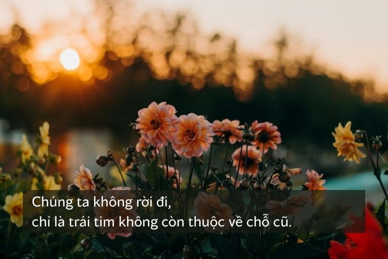 Cap suy ảnh 2