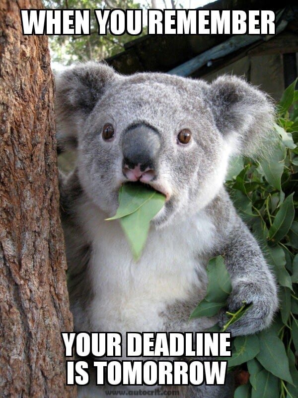 caption deadline 2.jpg