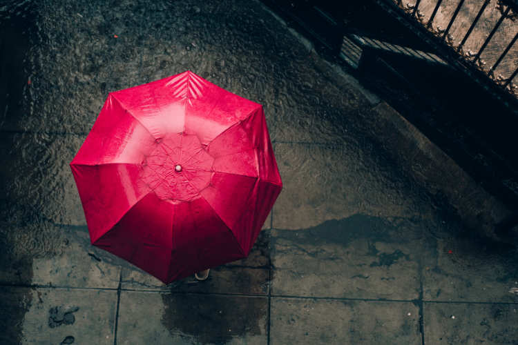 Caption mưa hài hước