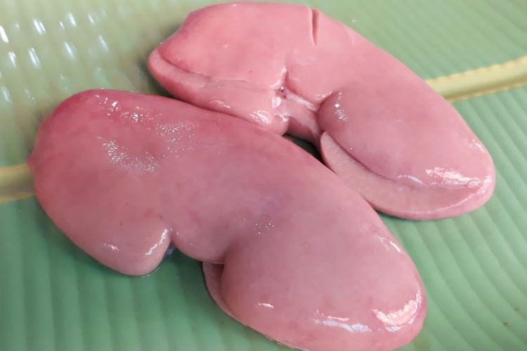 Cật heo hình 3