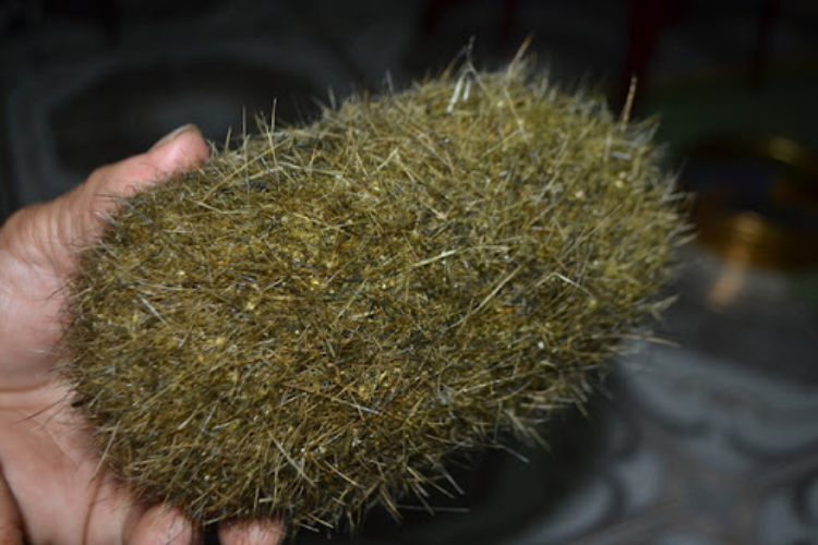Cát lợn hình 2