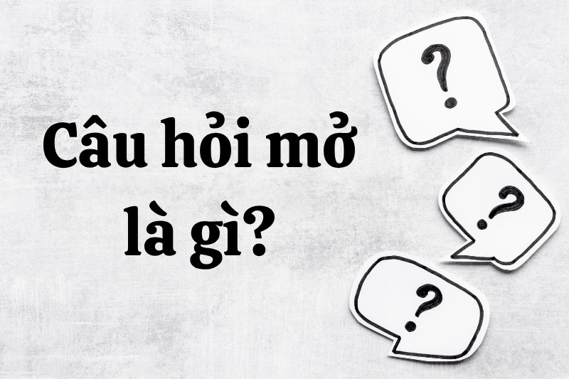 Câu hỏi mở là gì 1