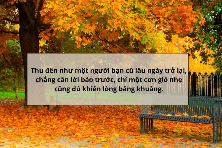 câu nói hay về mùa thu 2