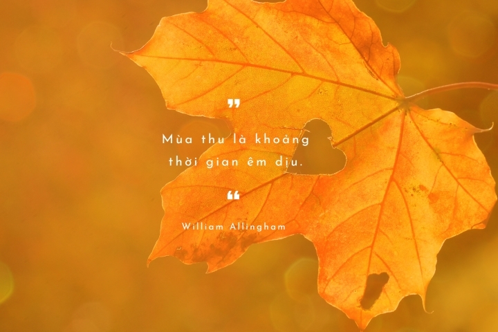 câu nói hay về mùa thu 1