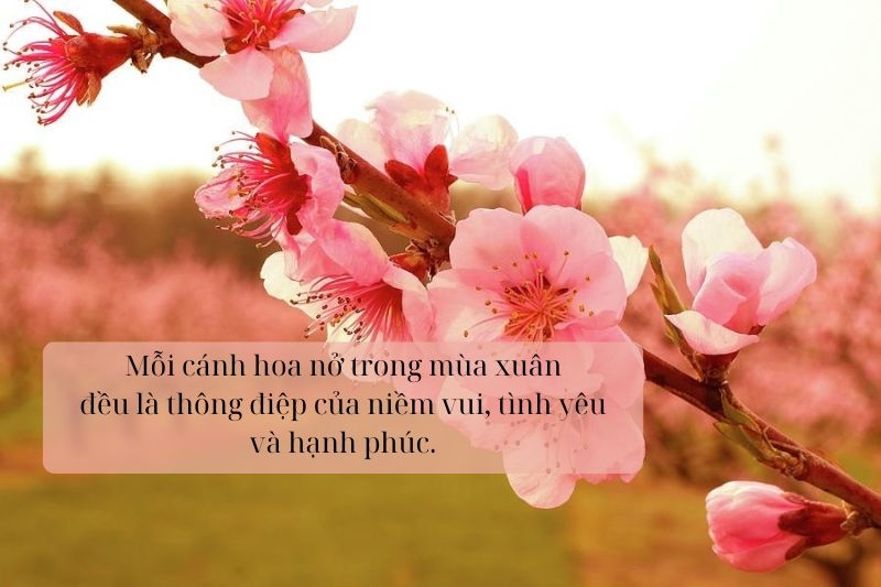 Câu nói hay về mùa xuân ảnh 2
