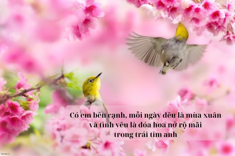 Câu nói hay về mùa xuân ảnh 5