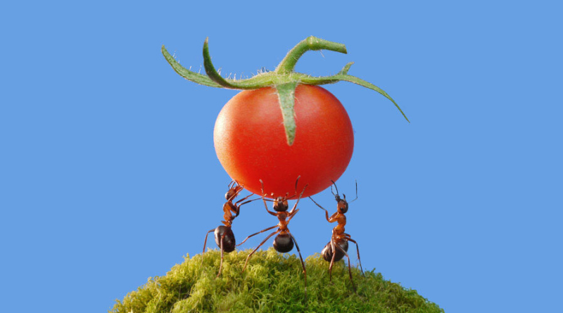 Tổng hợp những câu nói hay về sự cố gắng (hình 8)