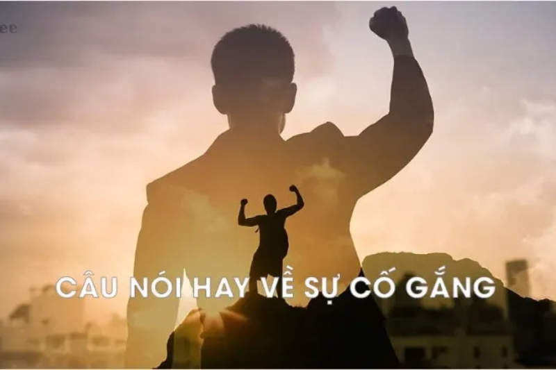 Tổng hợp những câu nói hay về sự cố gắng giúp bạn thêm động lực trong cuộc sống