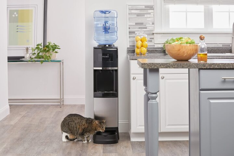 Top cây nước nóng lạnh cho gia đình tốt nhất 2026: Thiết kế hiện đại, tiết kiệm điện năng