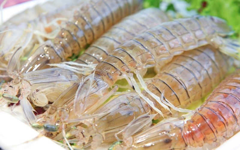 Cách chọn bề bề tươi ngon