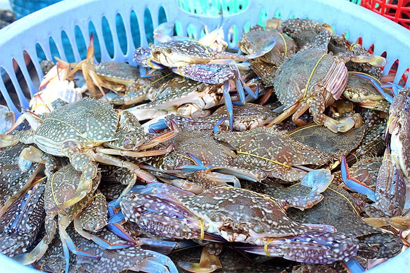 Chả ghẹ ảnh 9