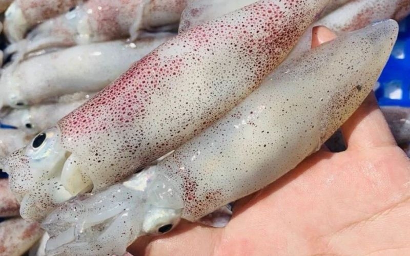 Cách chọn mực tươi ngon
