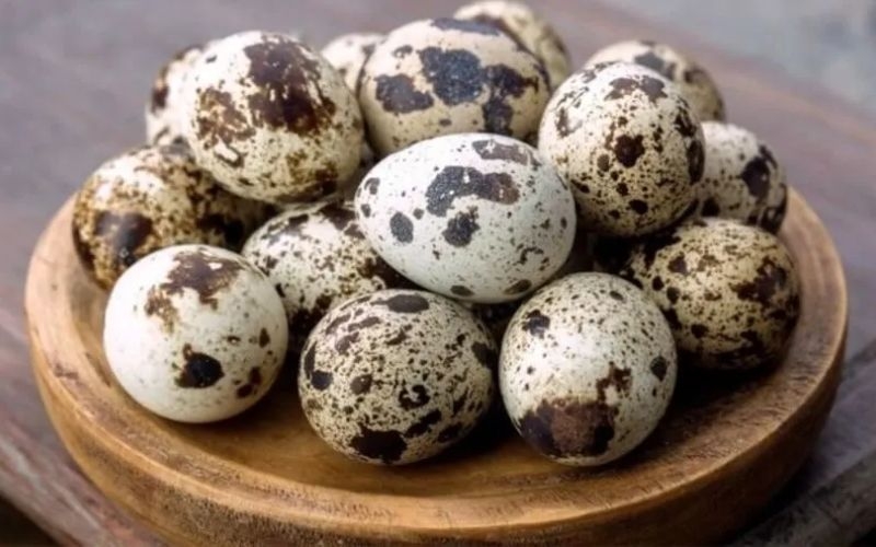 Cách chọn mua trứng cút