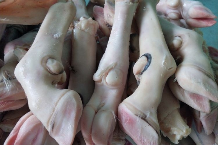 Chân dê hầm thuốc bắc