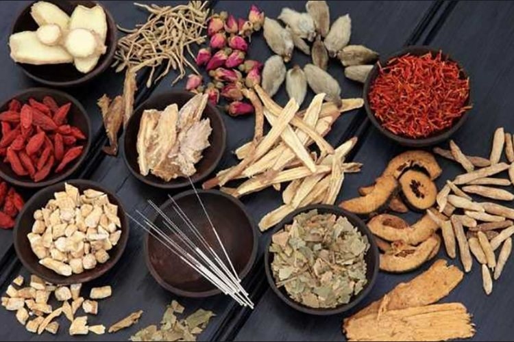 Chân dê hầm thuốc bắc