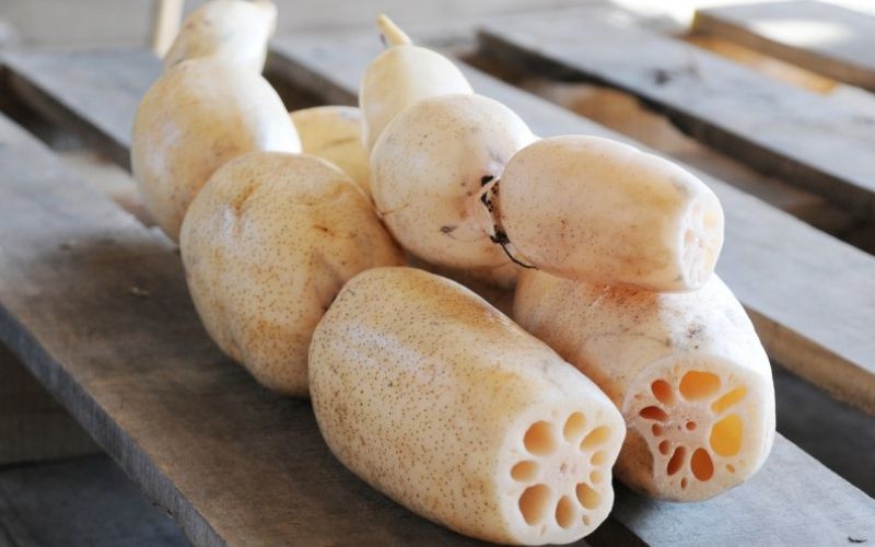 Cách chọn củ sen tươi ngon