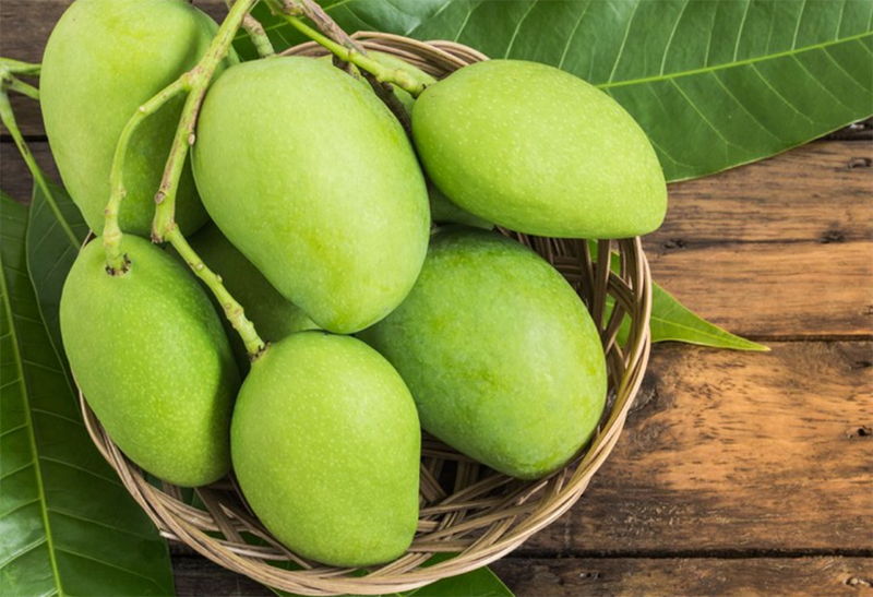 Chân sứa có ăn được không? (hình 4)