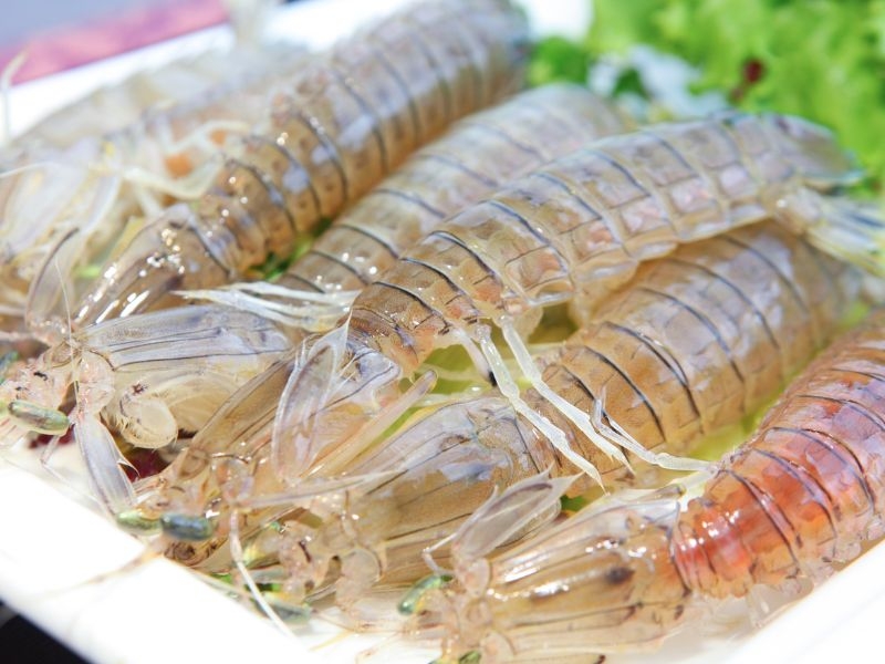 Cách chọn mua bề bề tươi ngon