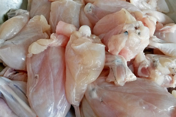 Cháo ếch bí đao hình 3