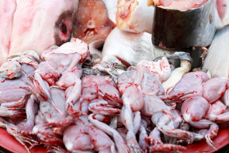 Cháo ếch rau mồng tơi hình 3