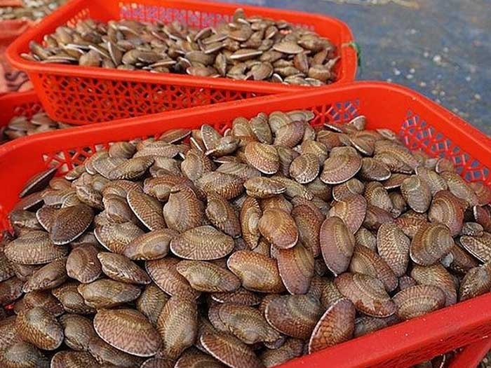 cháo sò lụa 1