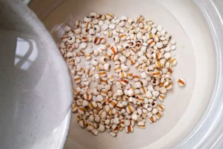 chè bo bo bạch quả hình 4