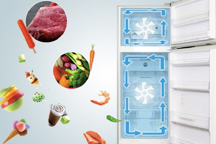 chế độ eco tủ lạnh sharp 5