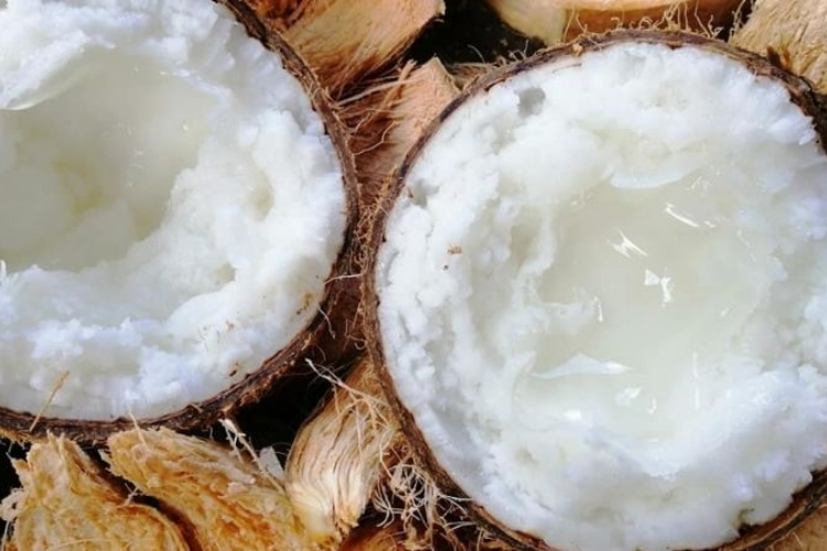 chè dừa sáp 1