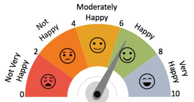 Chỉ số hạnh phúc là gì 2