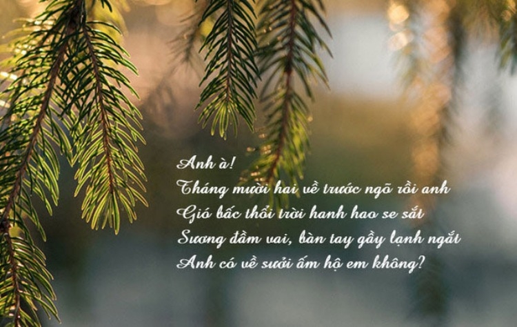 Chơi chữ ảnh 11