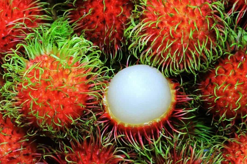 Chôm chôm bao nhiêu calo? (Hình 5)