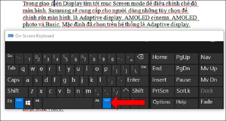 chọn nhanh 1 câu trong đoạn văn Word 1