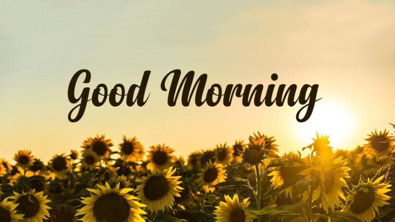 STT chúc ngày mới tốt lành ảnh 2