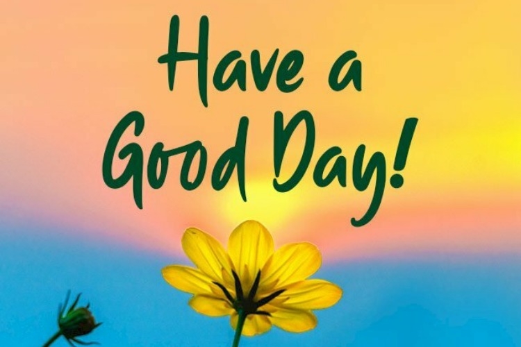 STT chúc ngày mới tốt lành ảnh 4