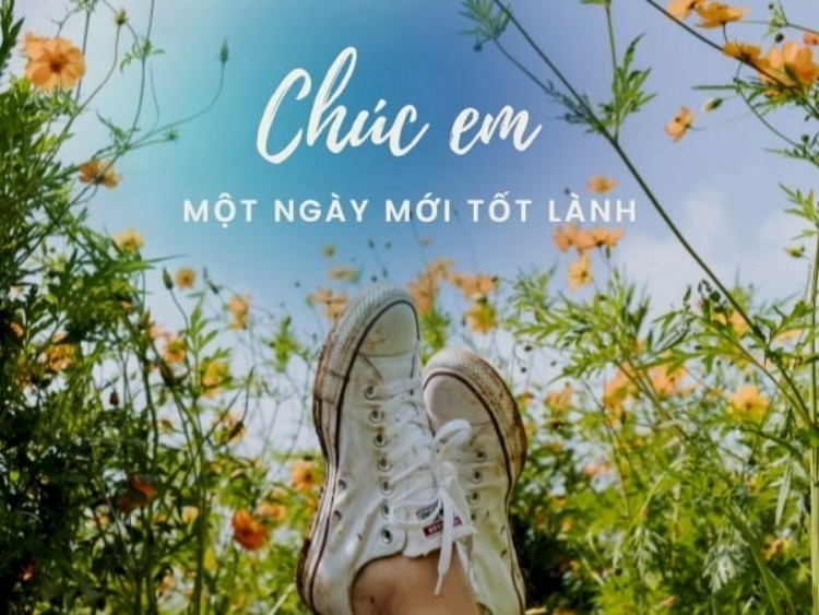 STT chúc ngày mới tốt lành ảnh 5