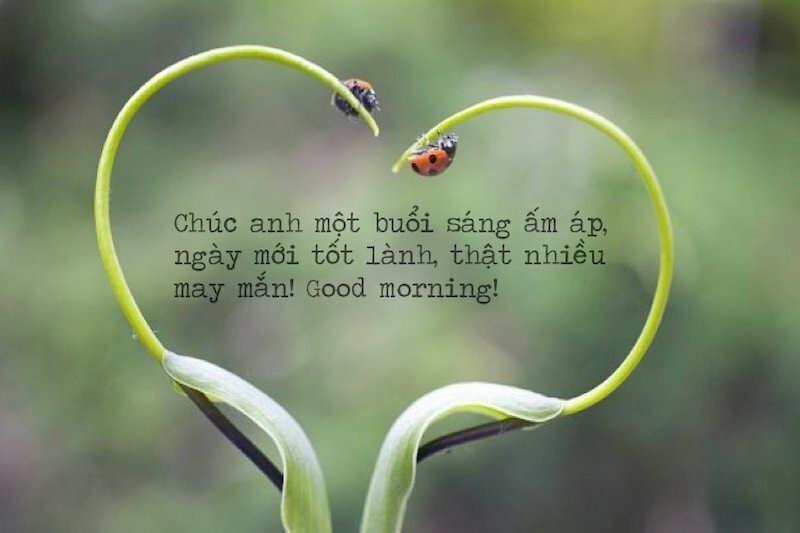 STT chúc ngày mới tốt lành ảnh 9