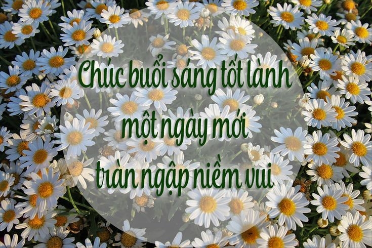 STT chúc ngày mới tốt lành ảnh 11