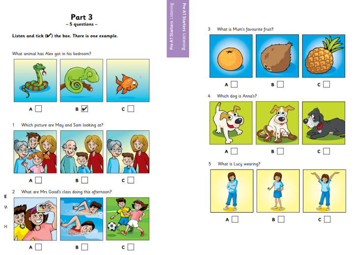 chứng chỉ Starter 3.png